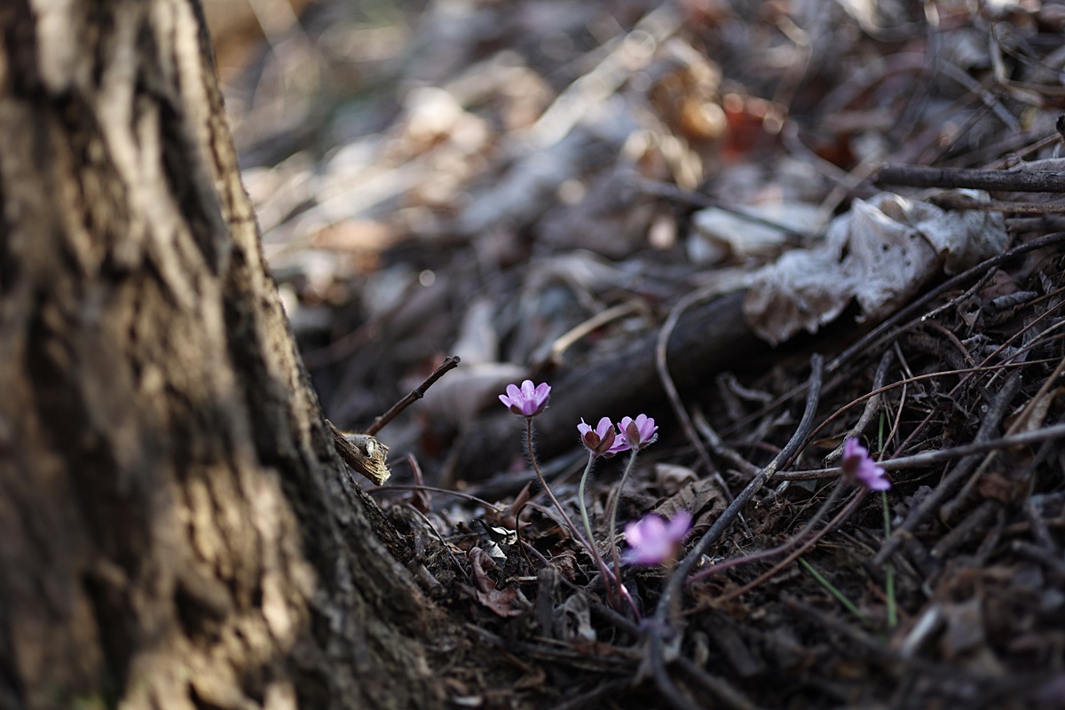 25-03-21 (253)-1.JPG