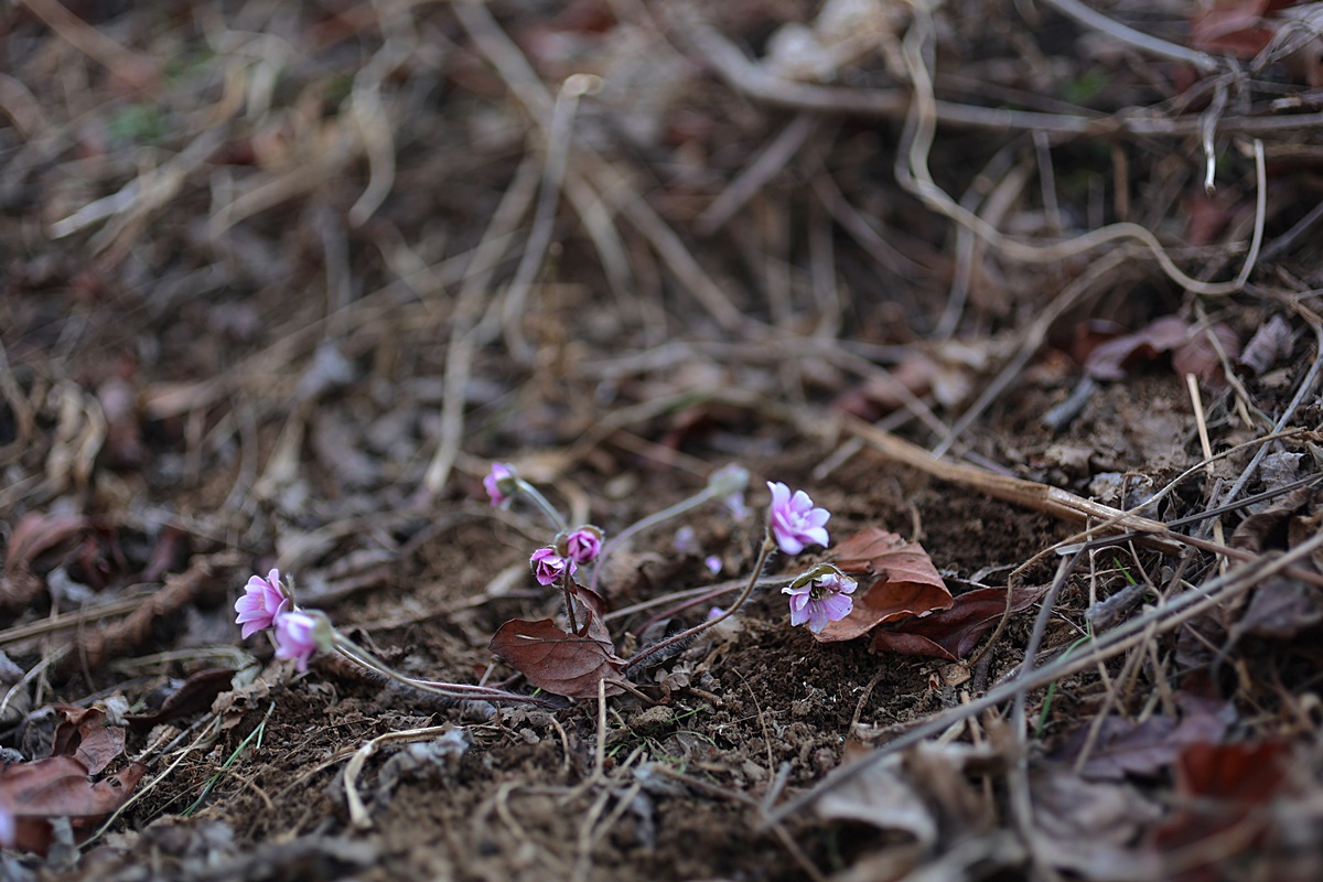 25-03-21 (259)-1.JPG