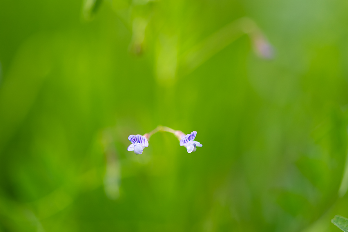 DSC_6403.jpg