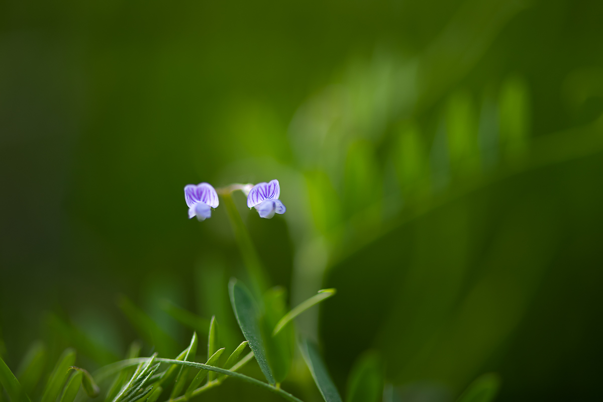 DSC_6413.jpg
