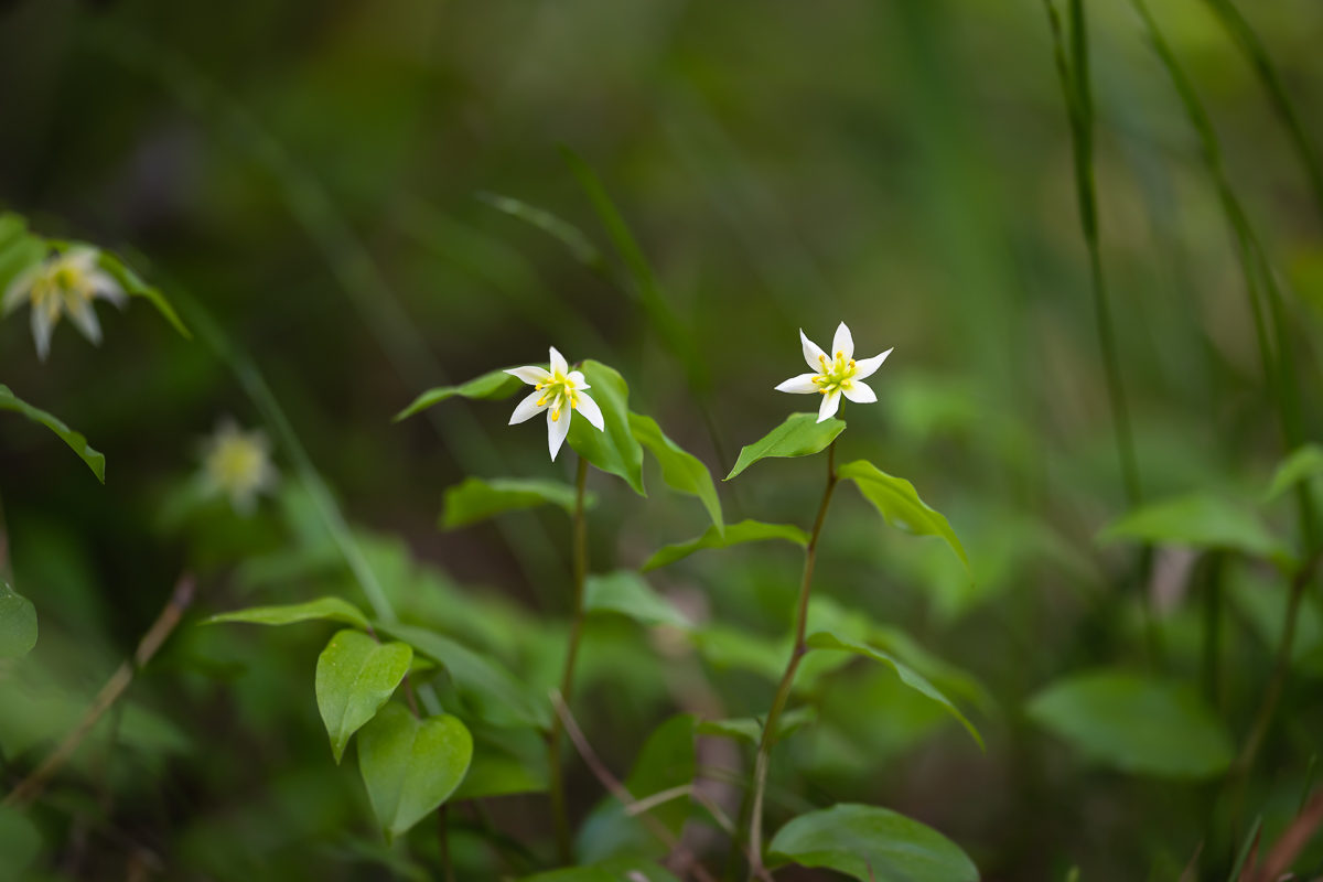 DSC_3247.jpg