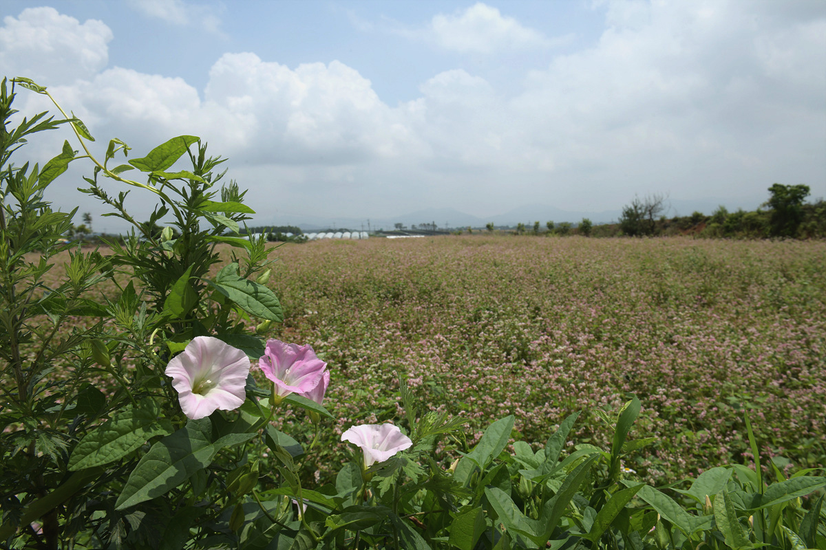 DSC_3194aaa.jpg