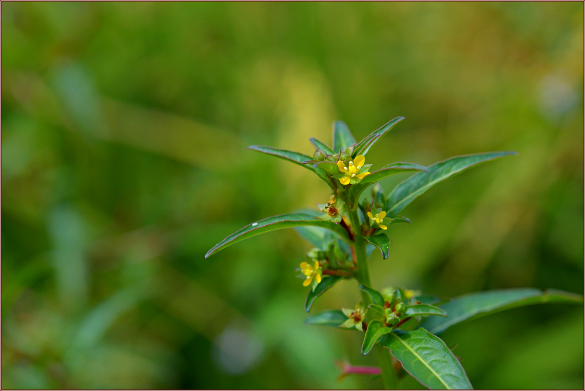 DSC_5628.jpg