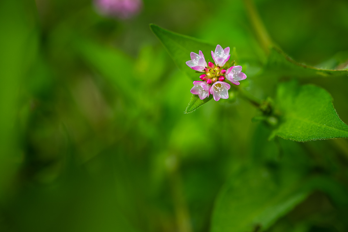 20200919-DSC_0047.jpg