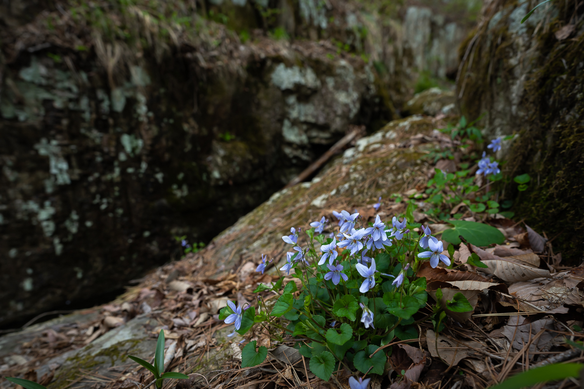 DSC_1859.jpg