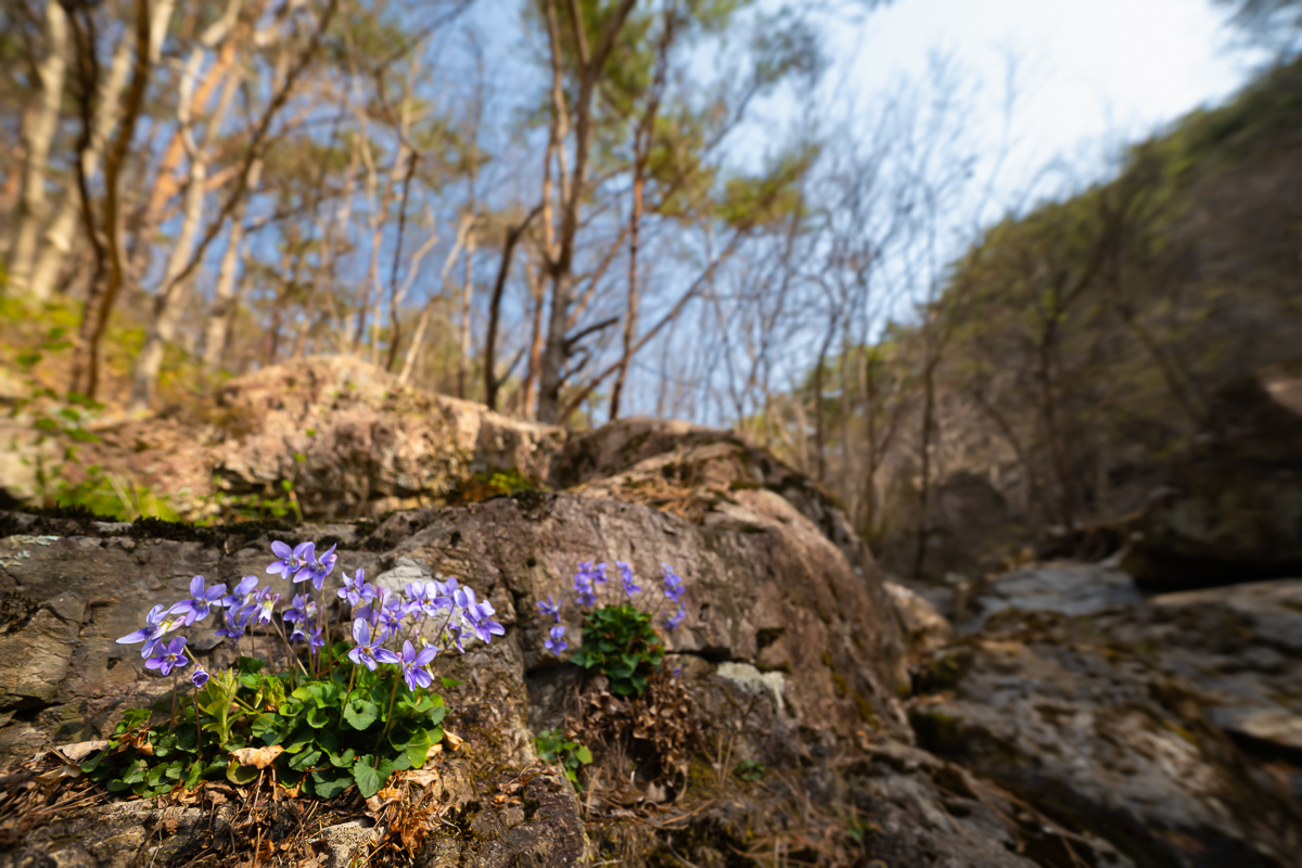 DSC_0441.jpg