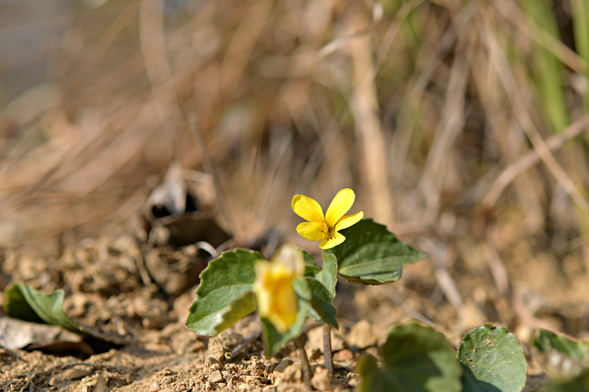 DSC_8422.jpg