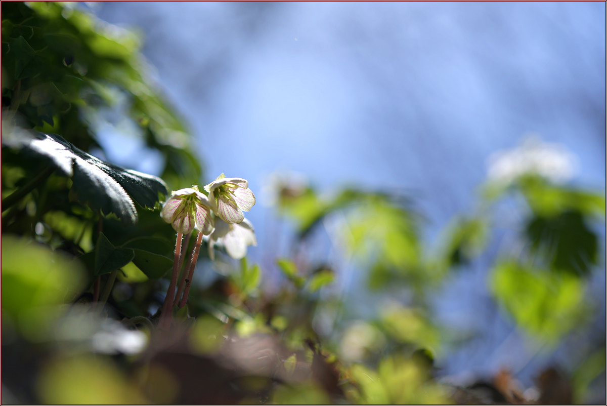 DSC_8760.jpg