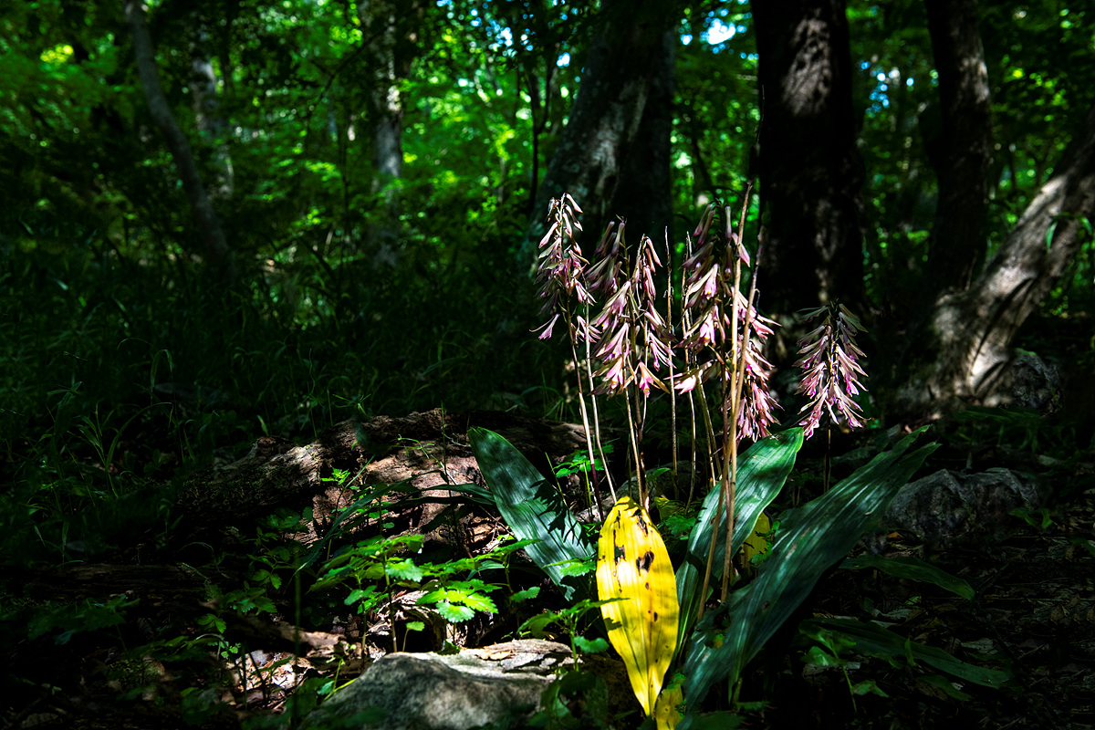 _DSC7313sss.jpg
