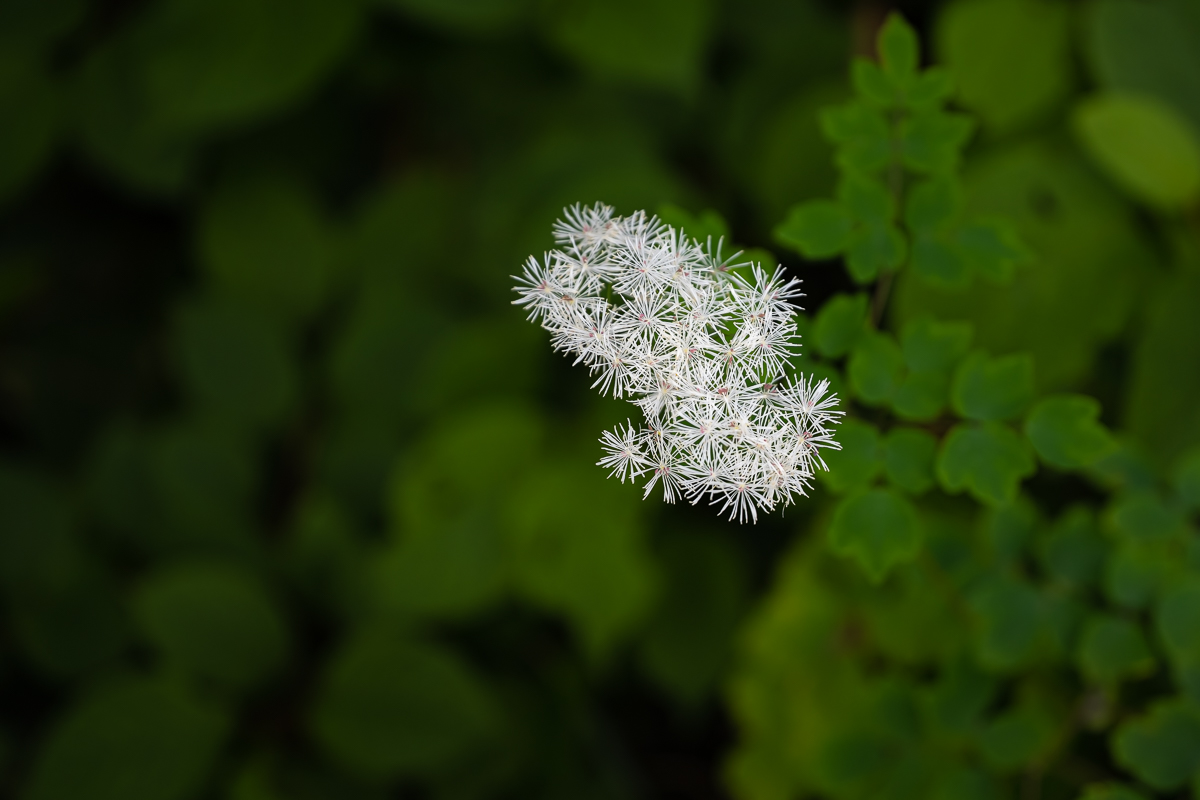 DSC_5383.jpg
