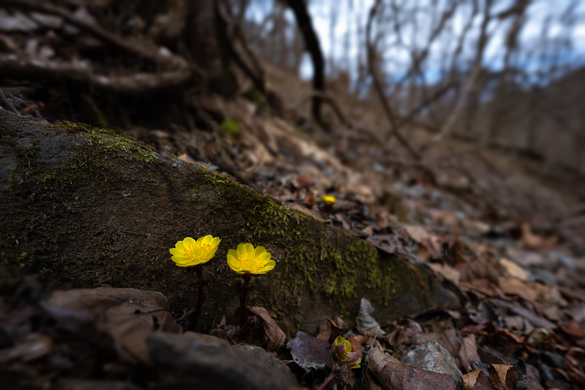 DSC_5715.jpg