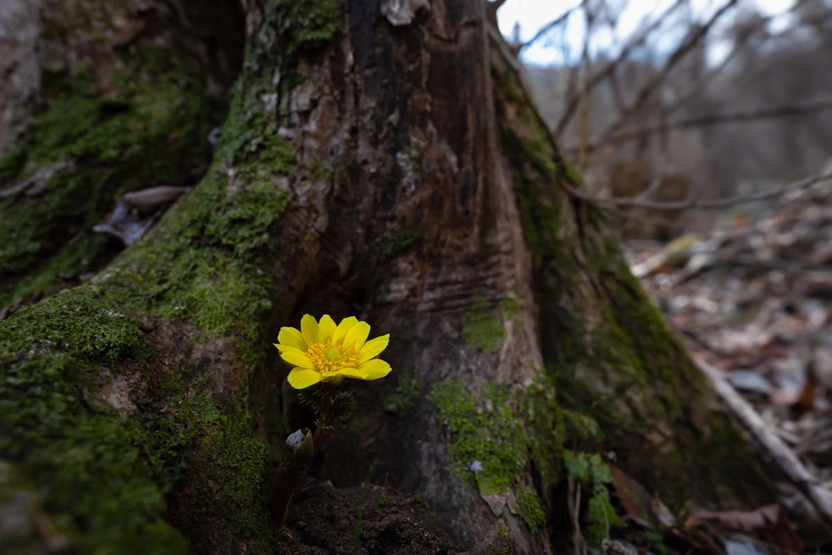 DSC_5702.jpg