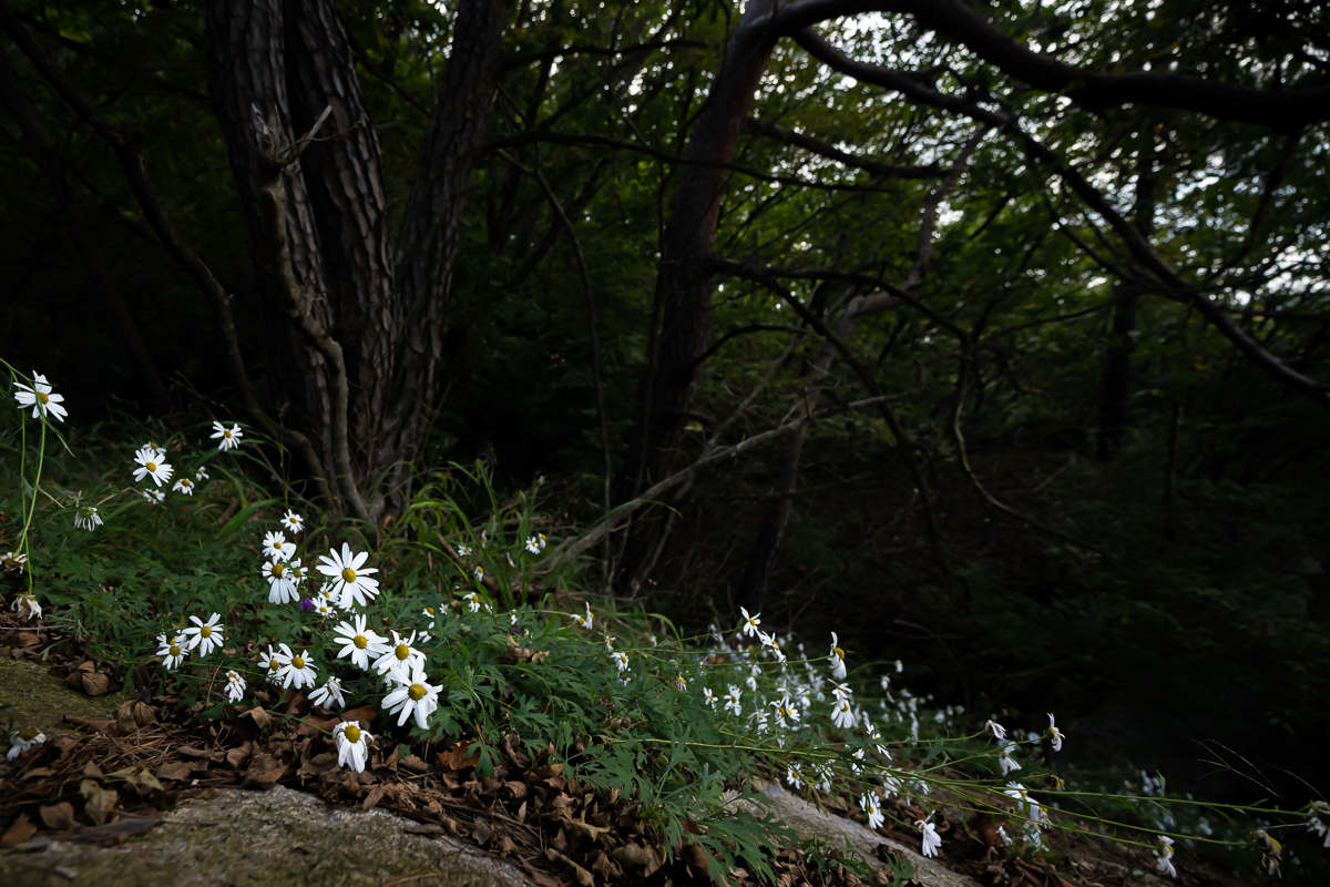 DSC_3213.jpg