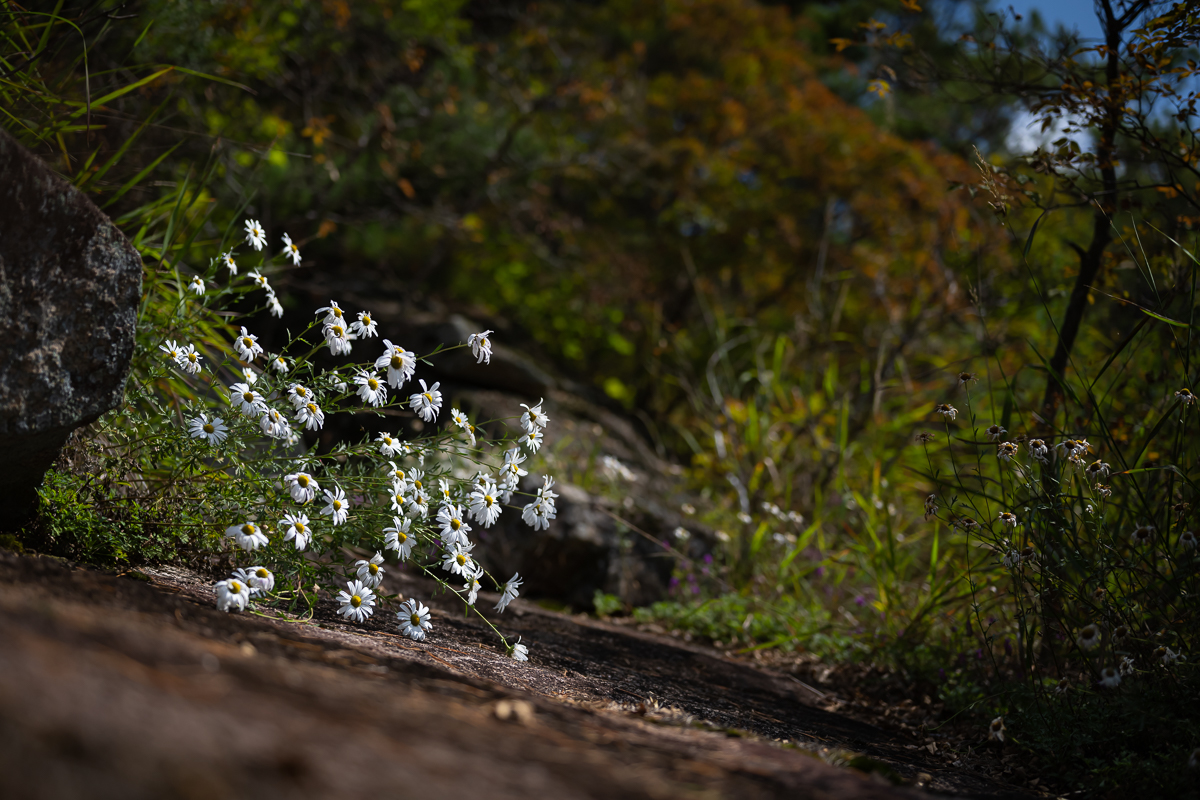 DSC_3148.jpg