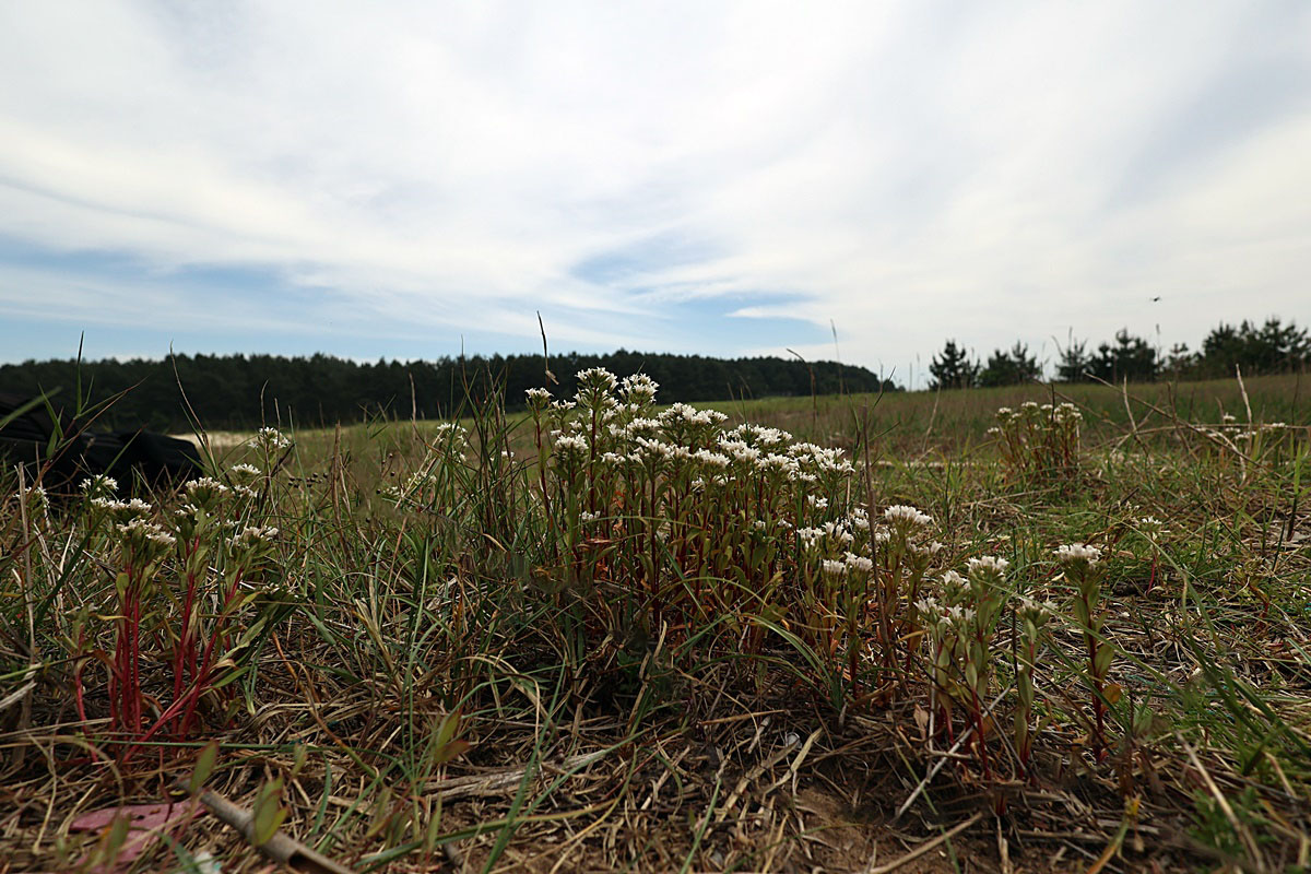 25-06-12 (140)-1.JPG