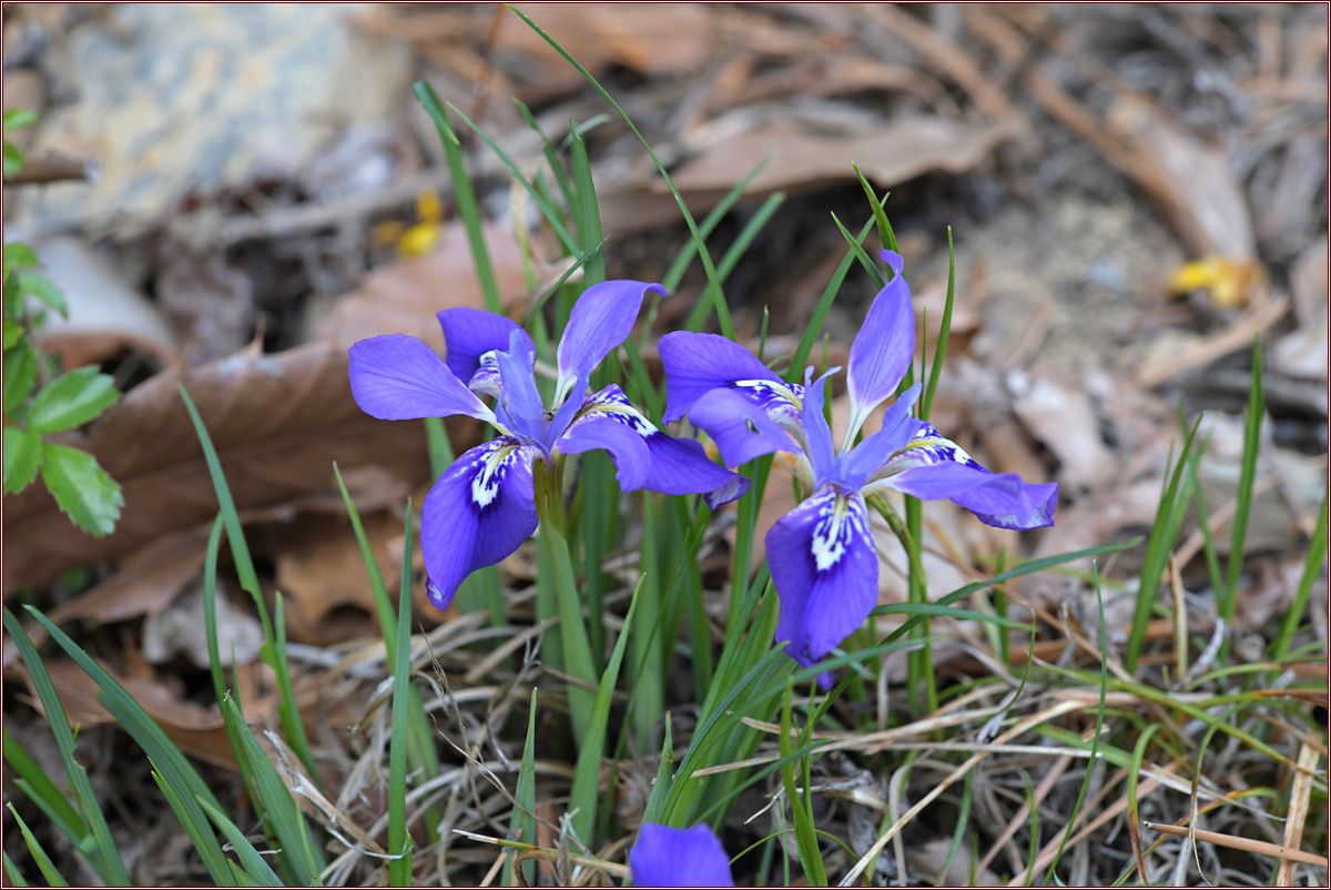 DSC_9754.jpg