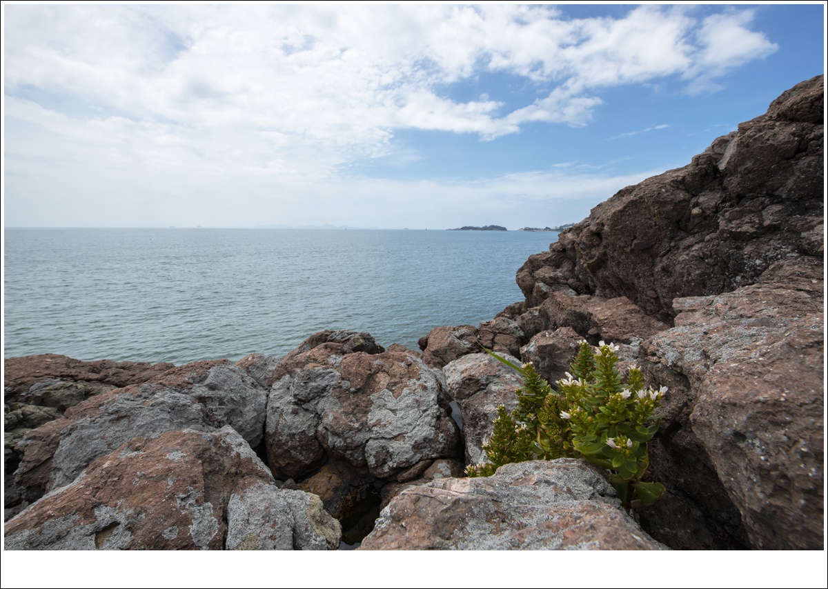_DSC8847.JPG