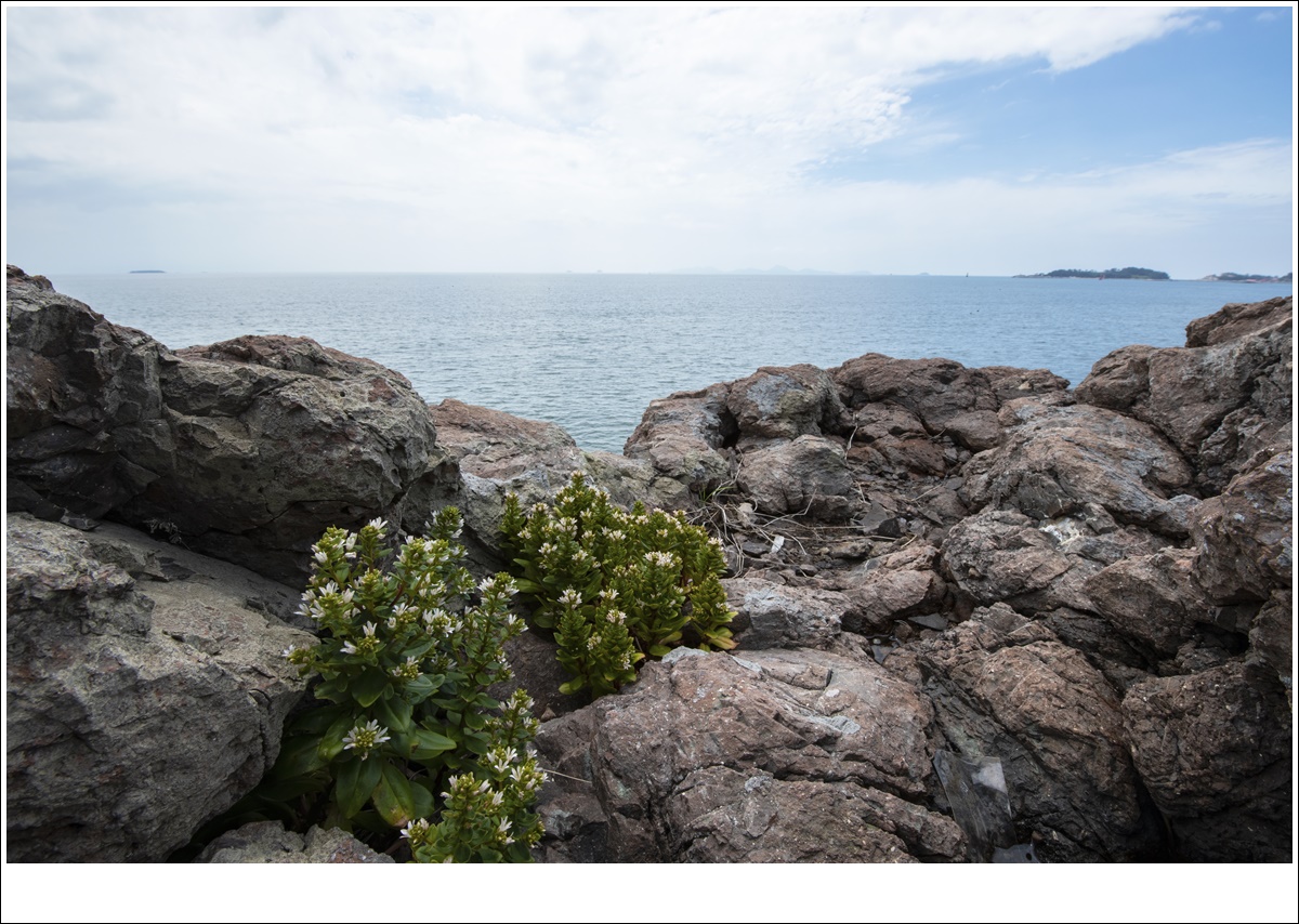 _DSC8845.JPG