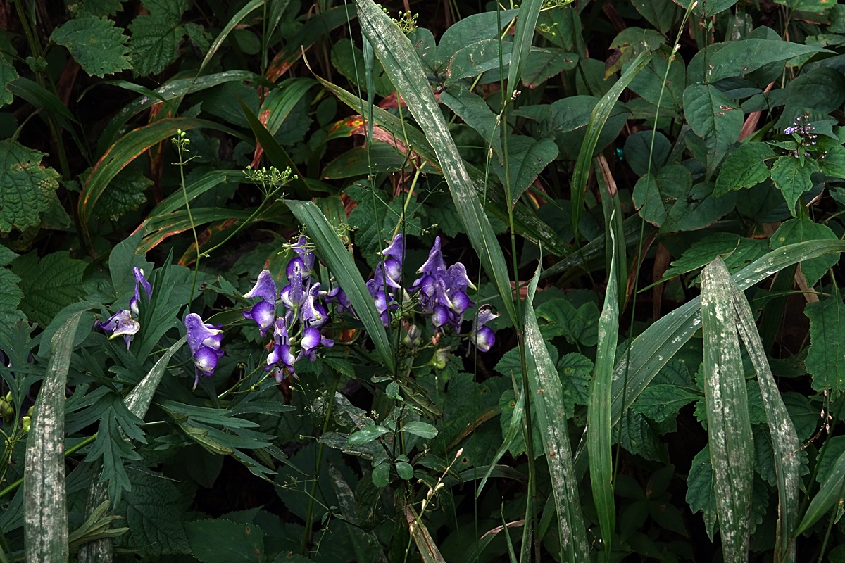 25-09-07 (143)-1.JPG