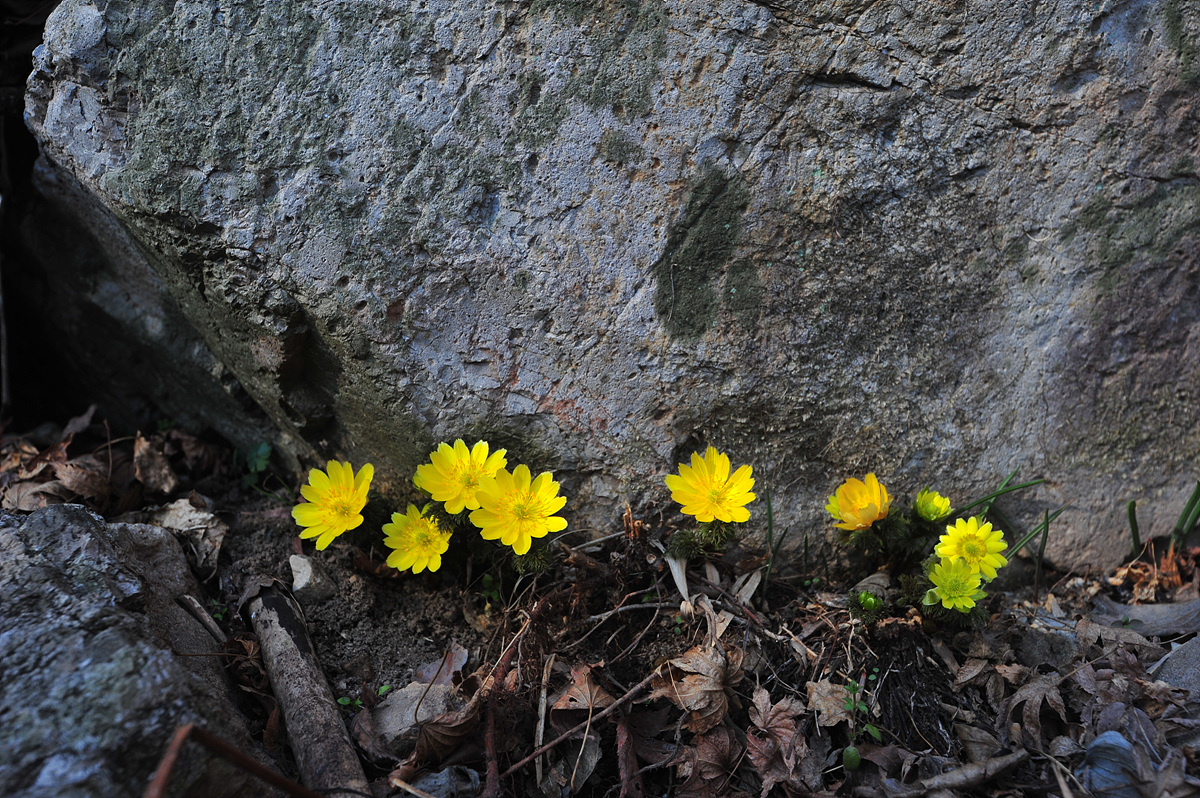 DSC_5368.jpg