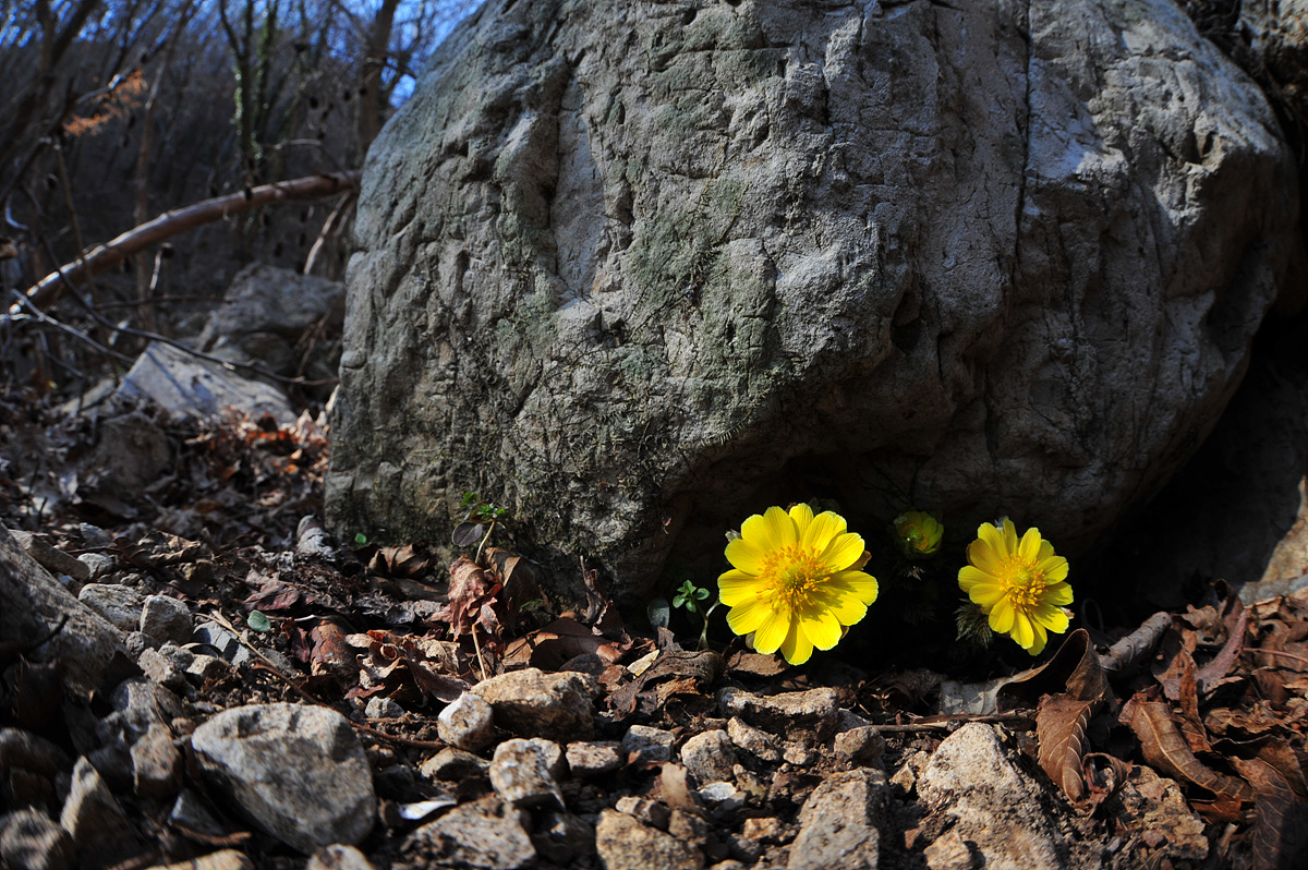 DSC_5311.jpg