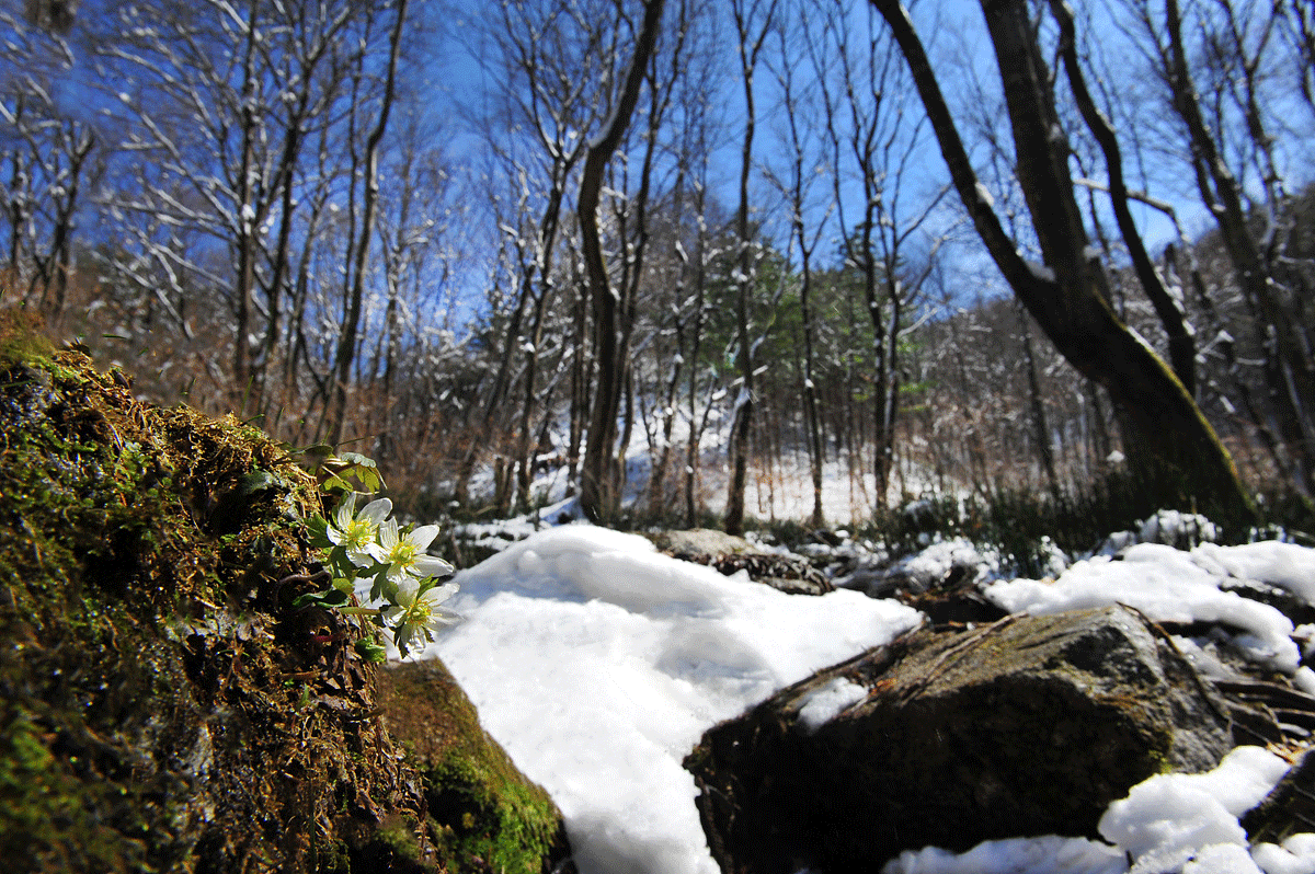 DSC_7200mmm.gif