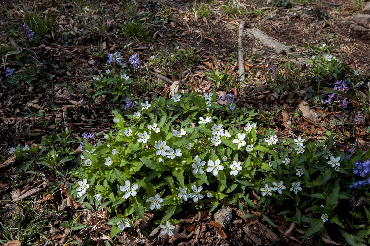 DSC_0776sss.jpg