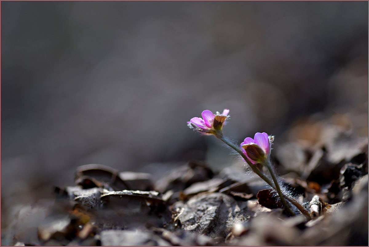 DSC_7829.jpg