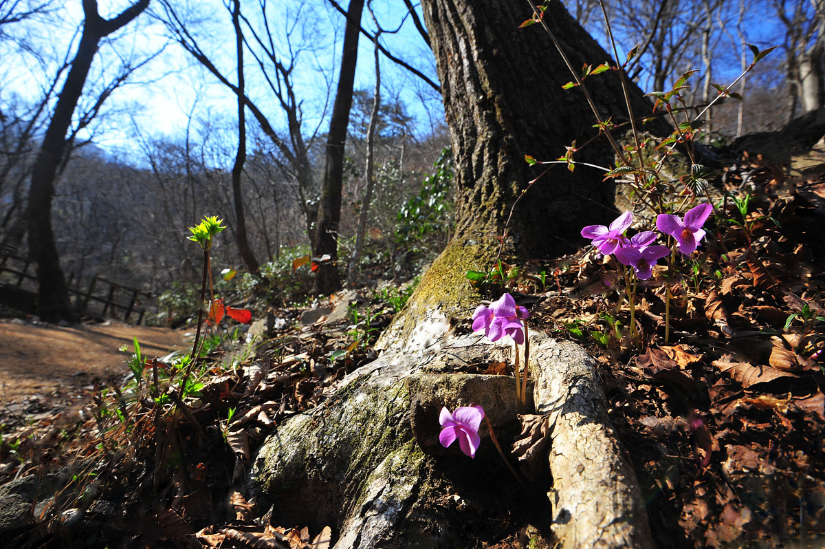DSC_1143ss.jpg