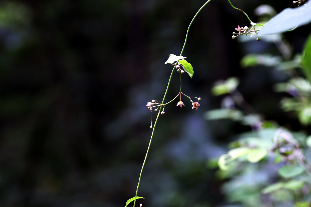 20-07-21 (113)-1.JPG