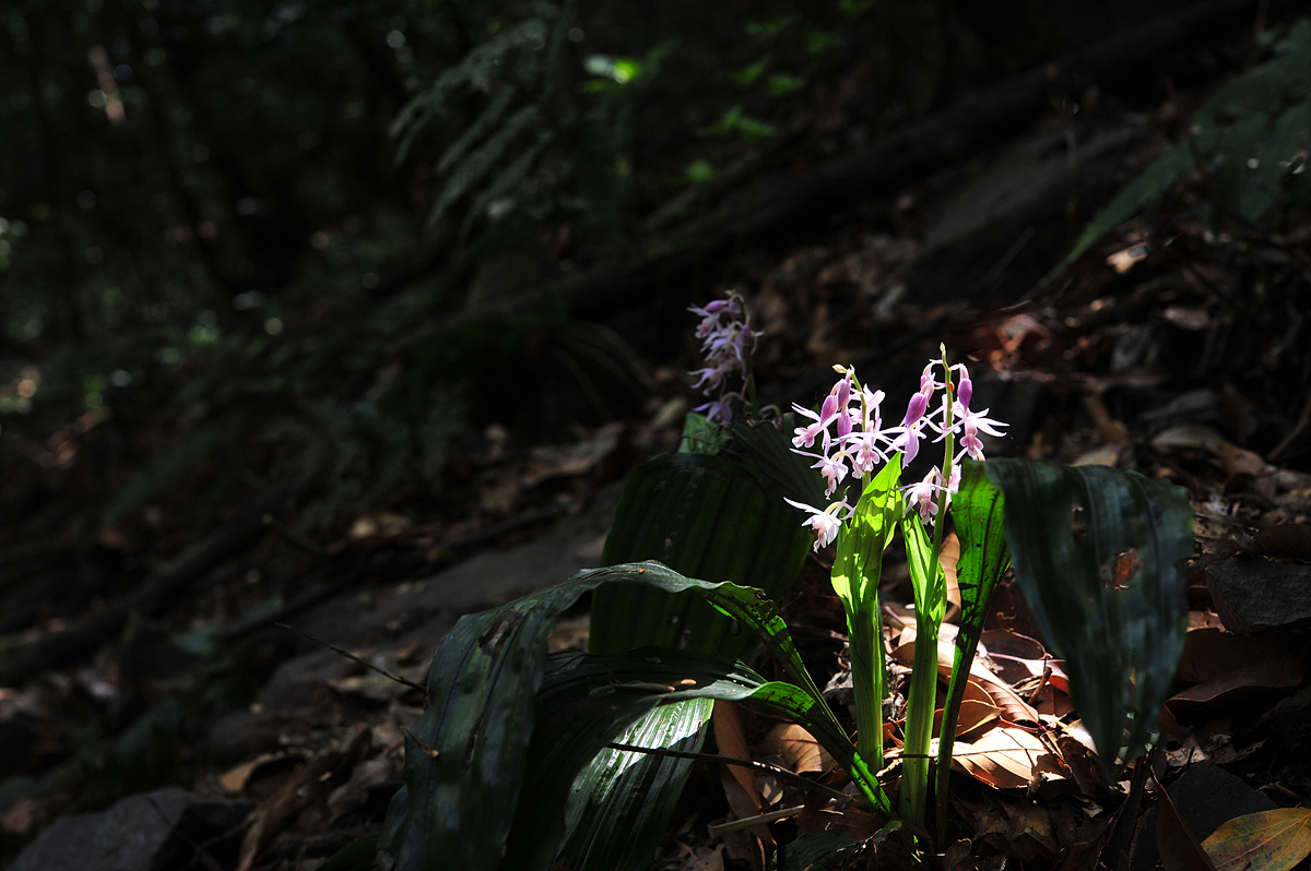 DSC_8941cc.jpg