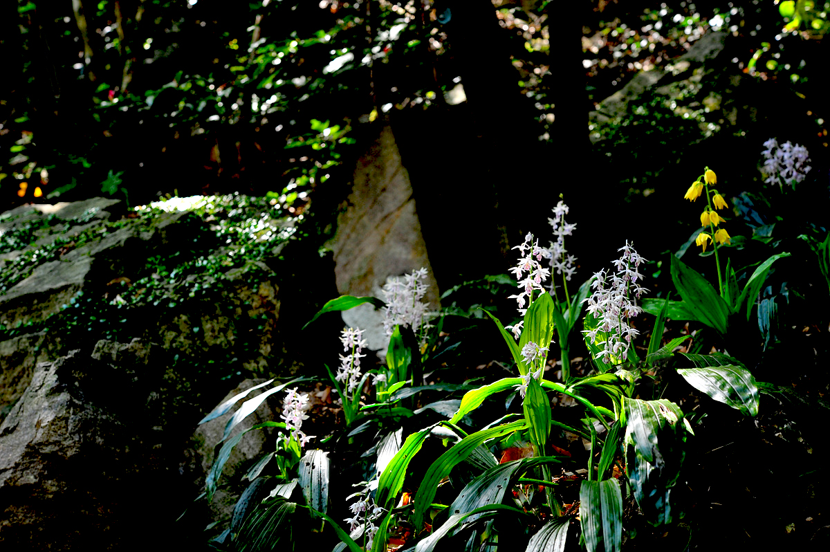 DSC_8770sss.jpg