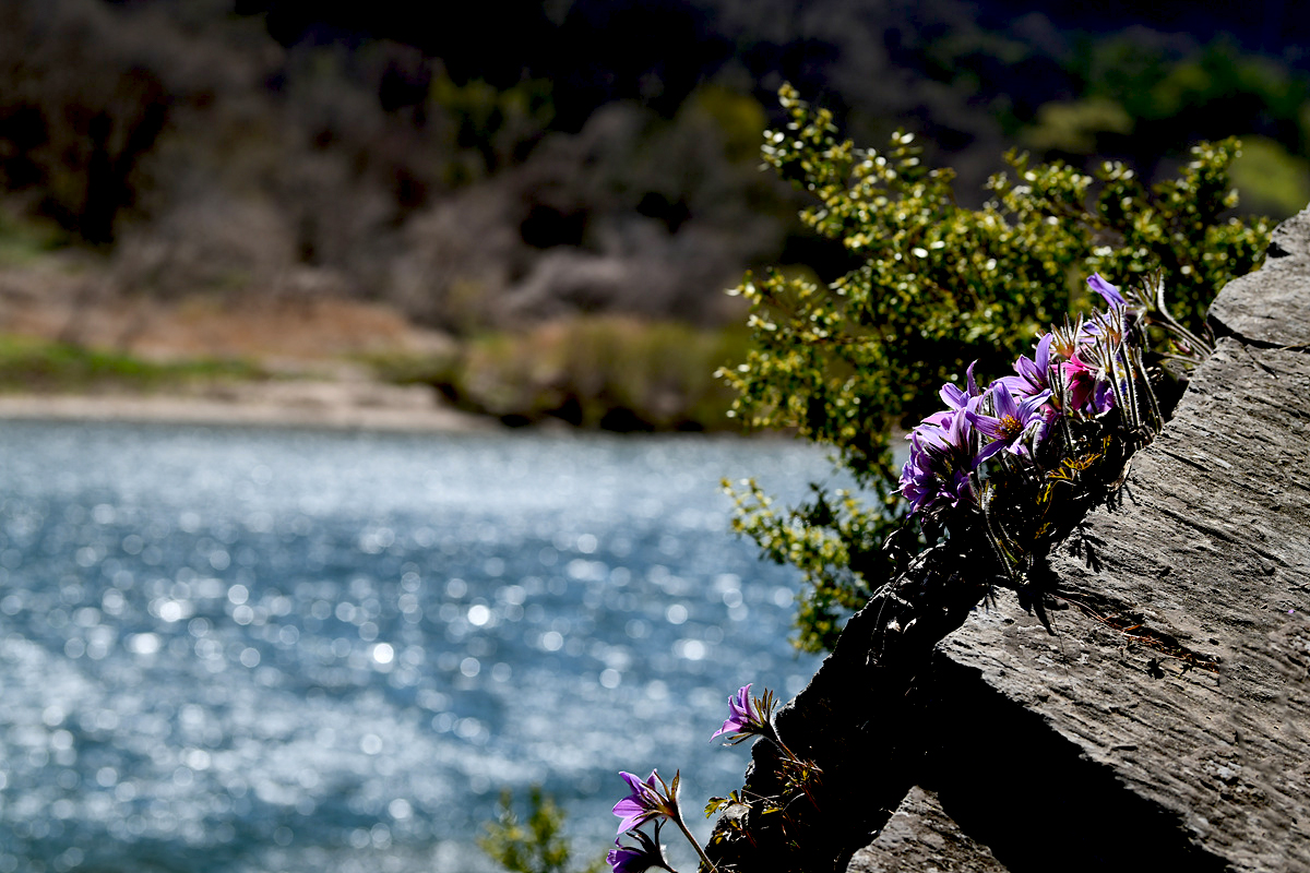 DSC_9649ddd.jpg