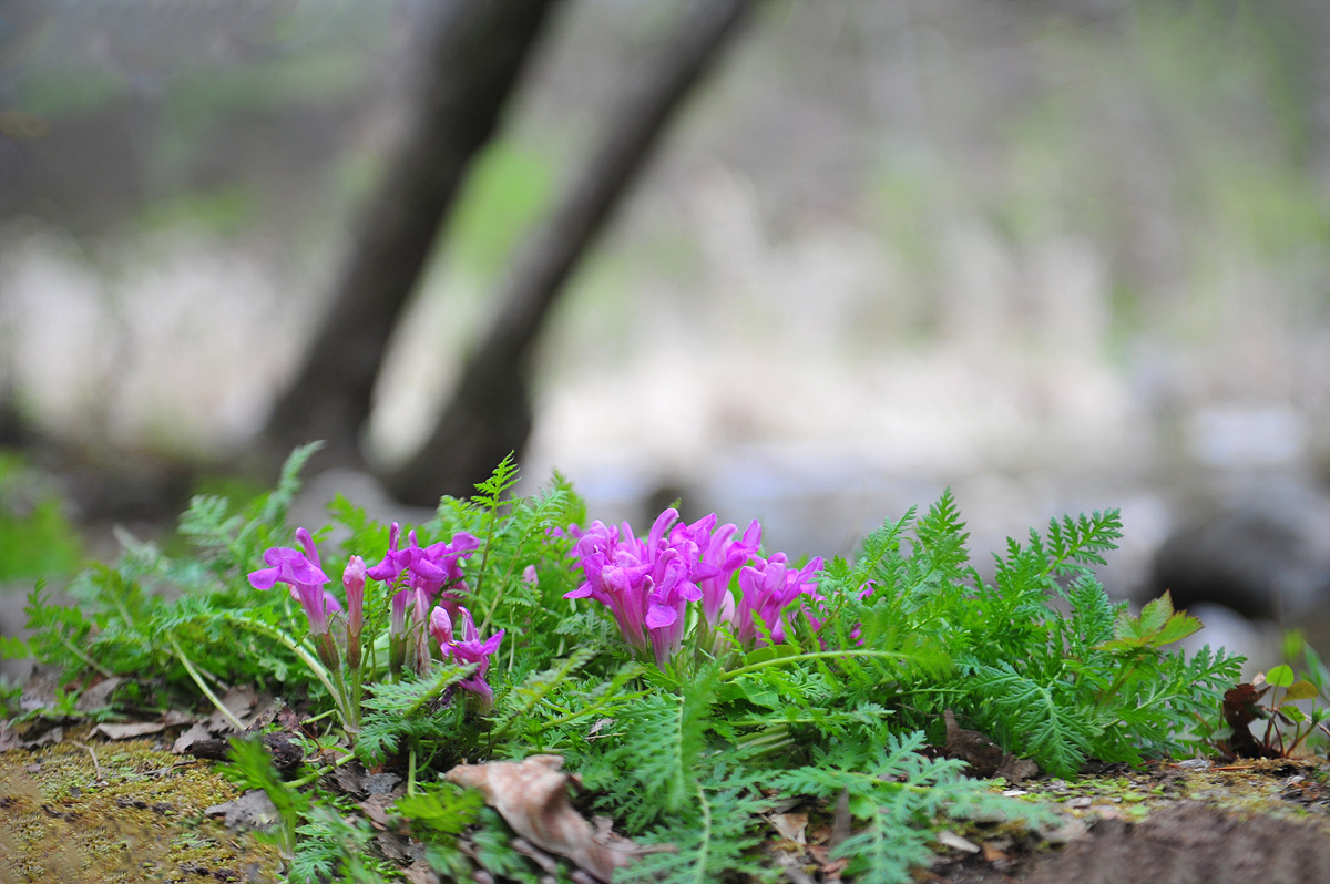 DSC_6839s.jpg