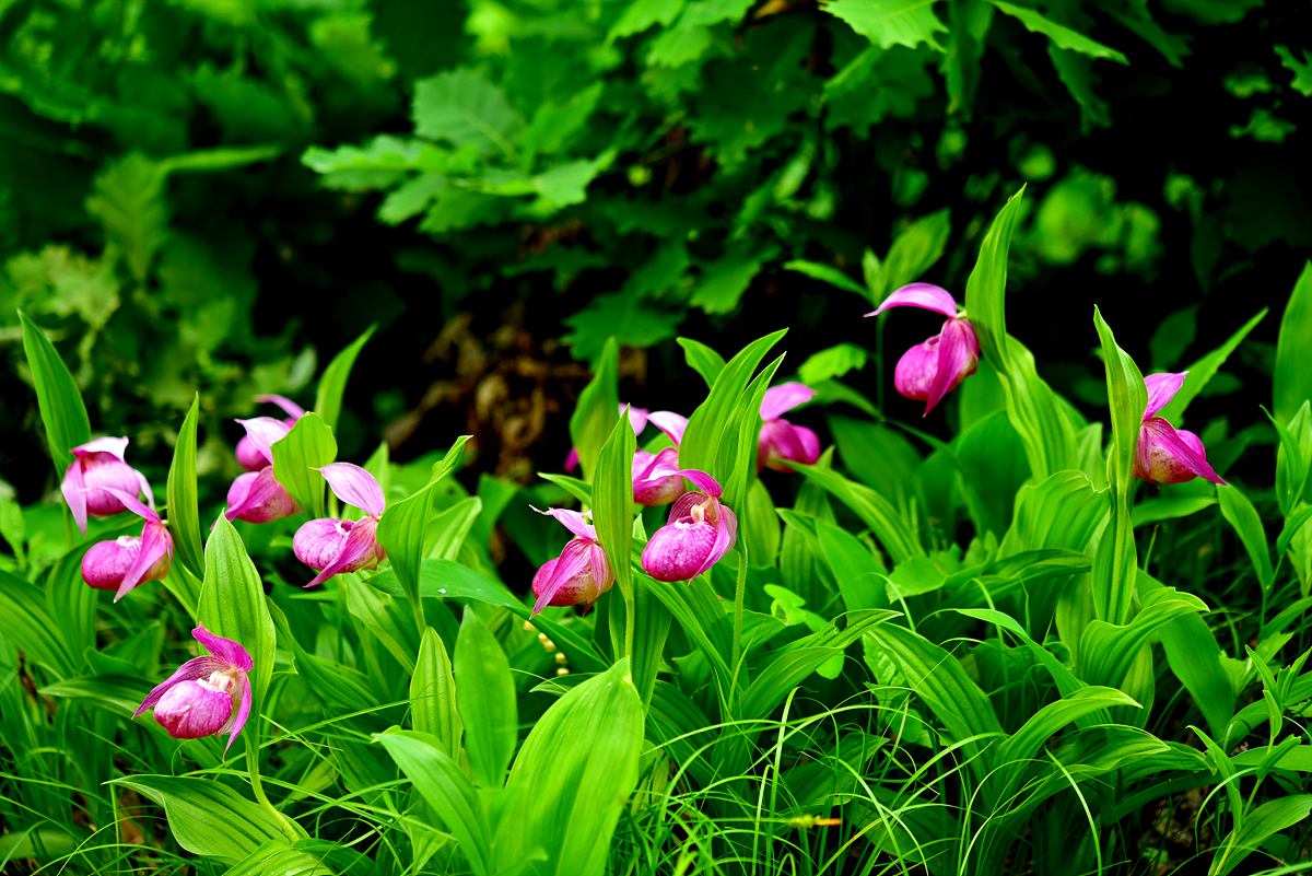 DSC_3859.jpg