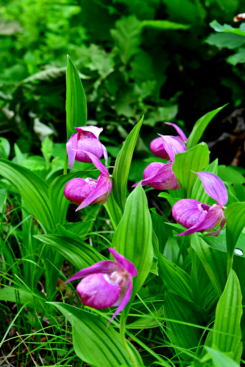 DSC_3848.jpg