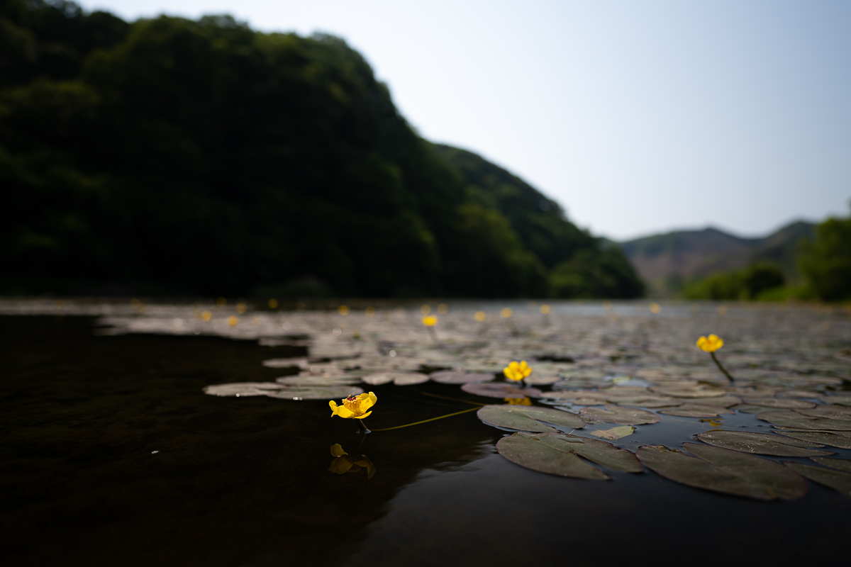 DSC_5330.jpg