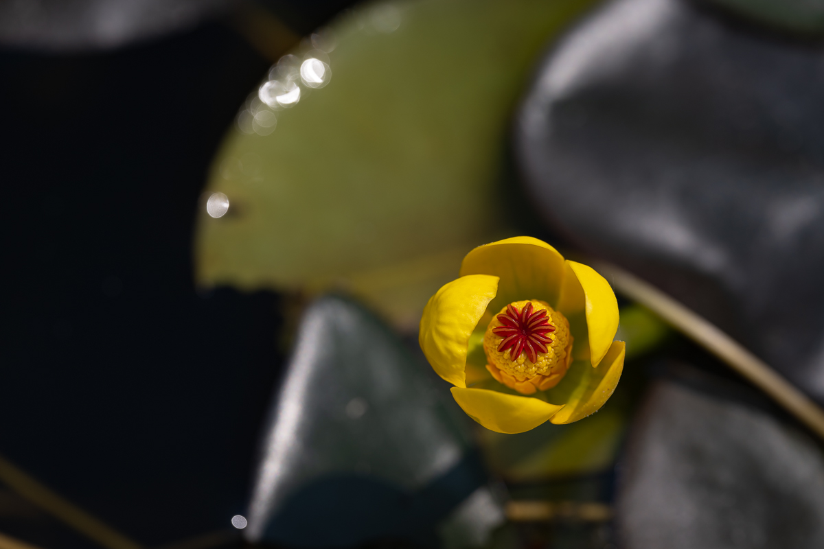 DSC_5407.jpg