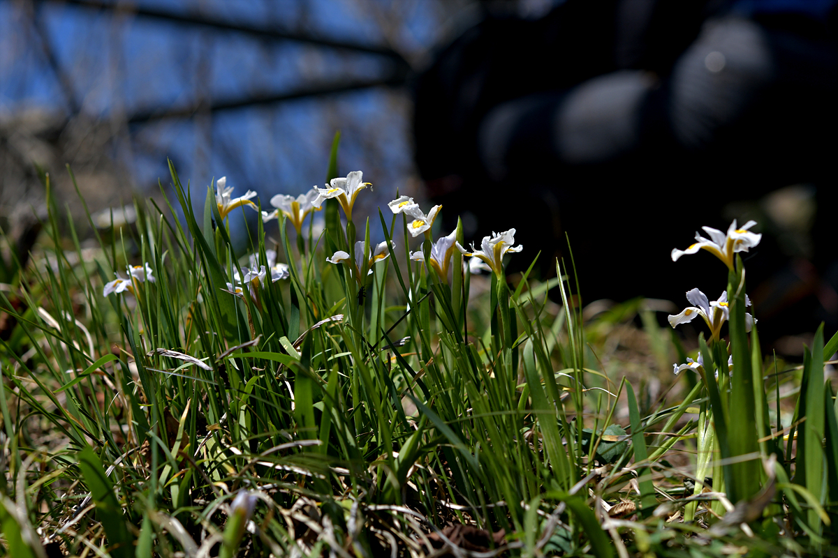 DSC_9058.jpg