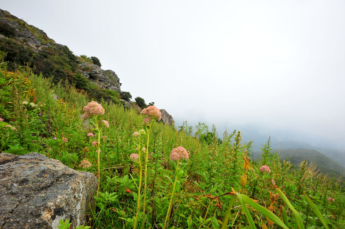 DSC_1337s.jpg