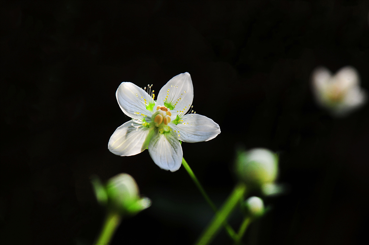 DSC_9140.jpg