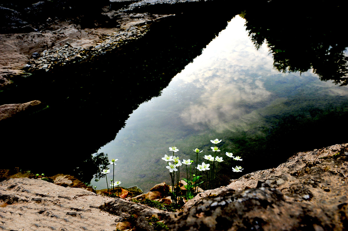 DSC_9945.jpg