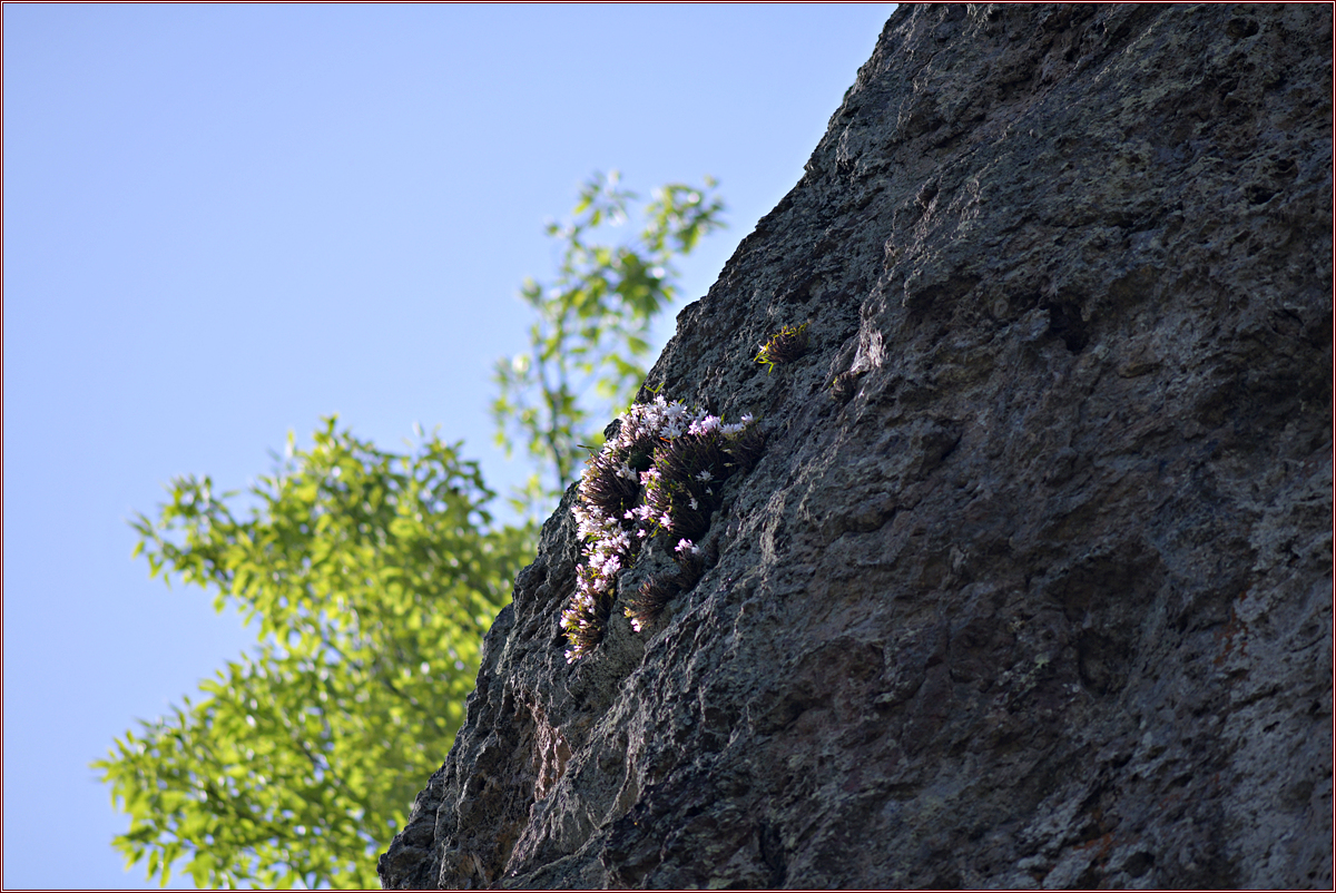 DSC_0747.jpg