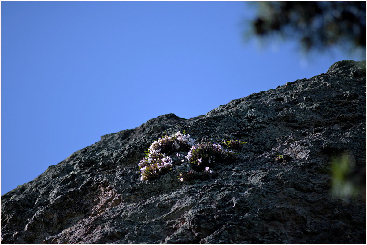 DSC_0741.jpg
