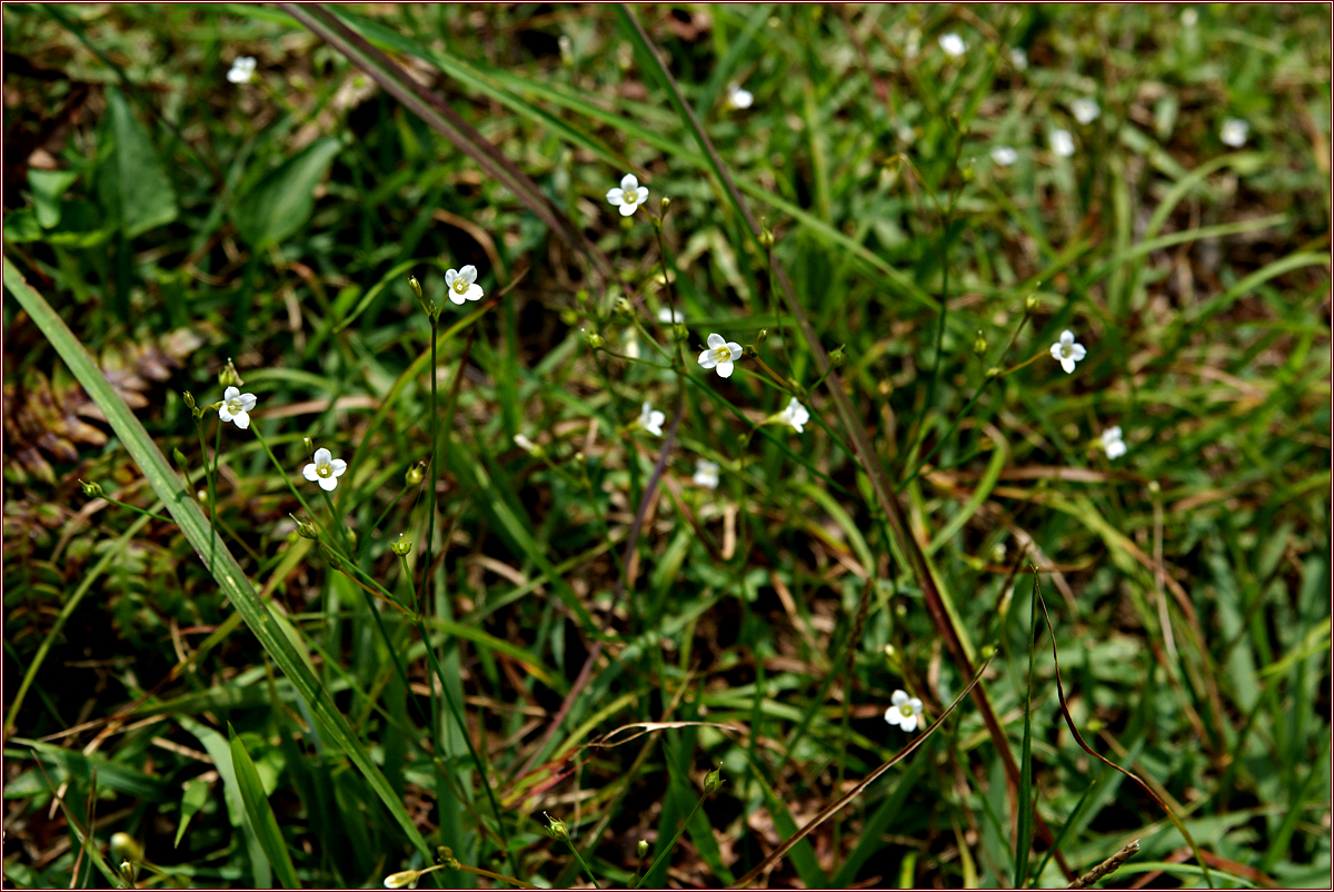 KHS04647.jpg