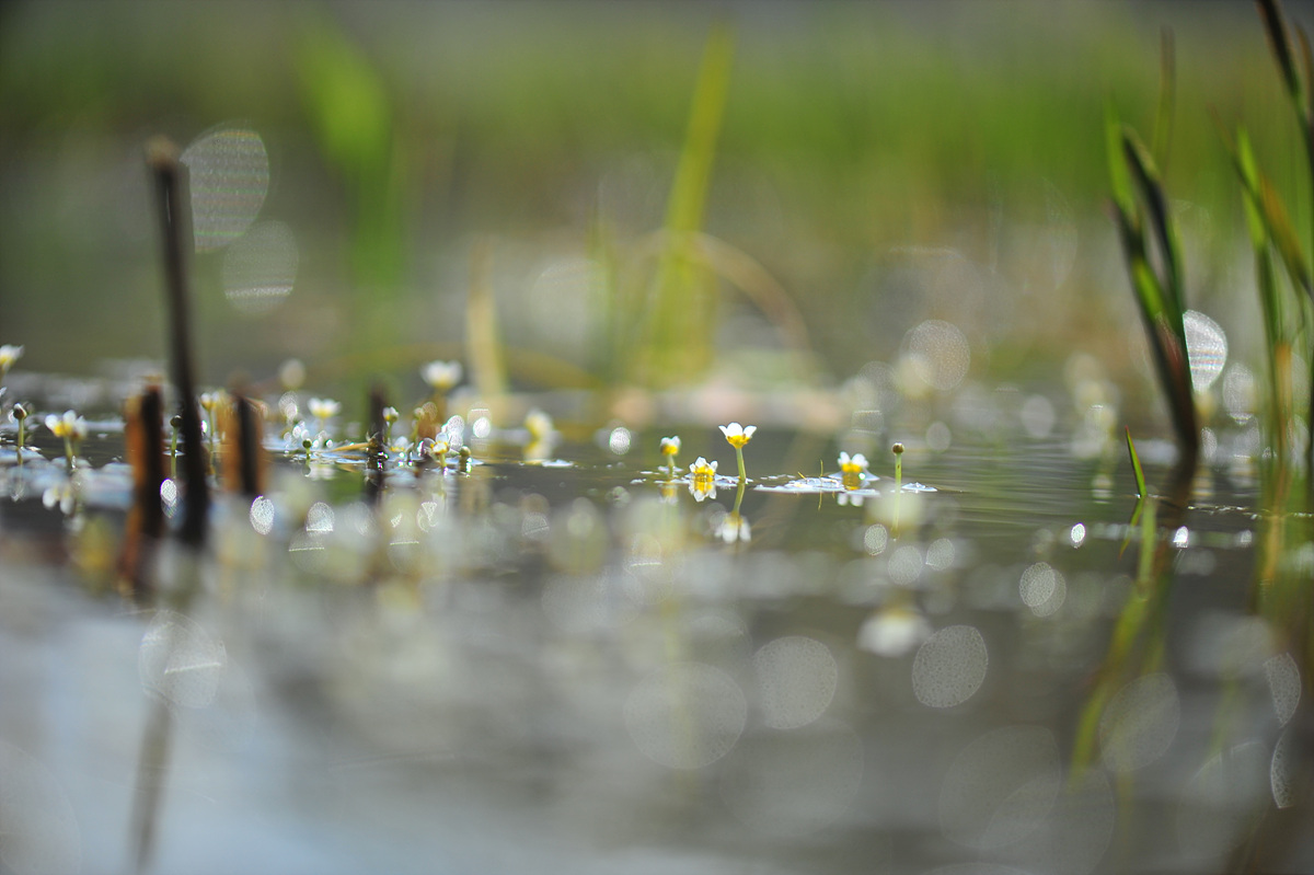 DSC_5751.jpg
