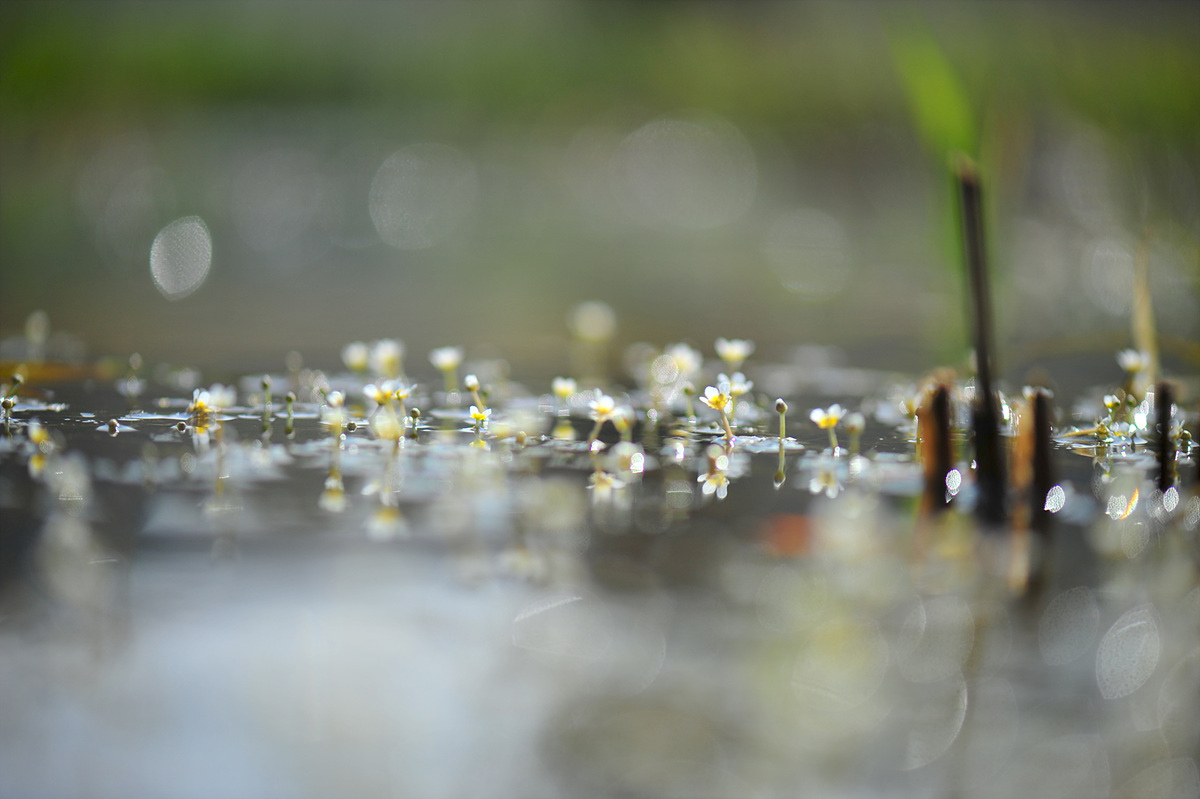 DSC_5745s.jpg