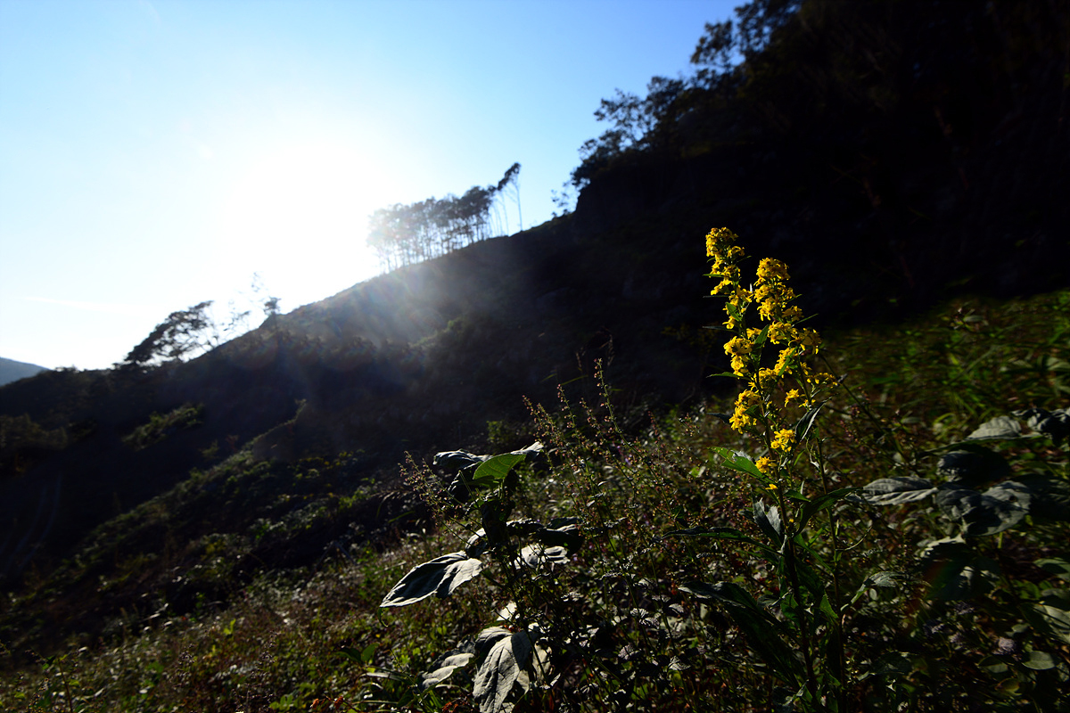 DSC_0364sss.jpg