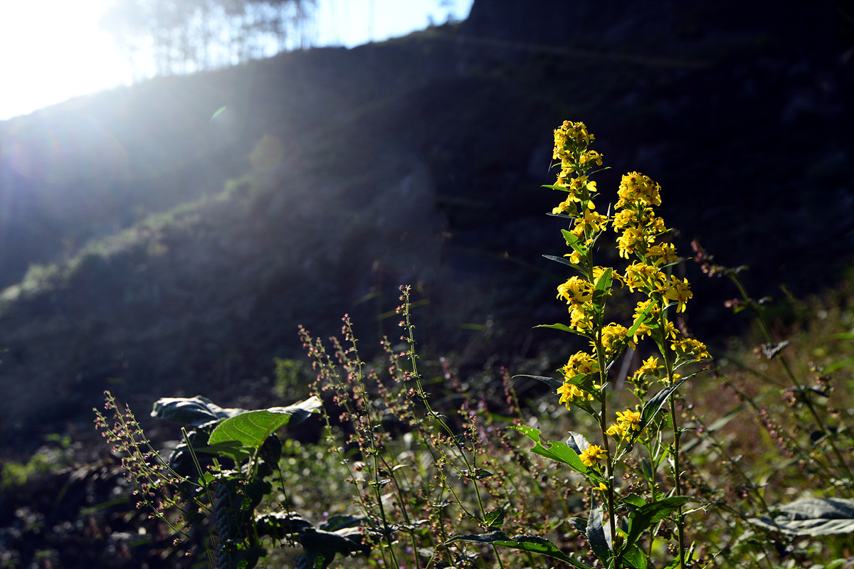 DSC_0365ddd.jpg