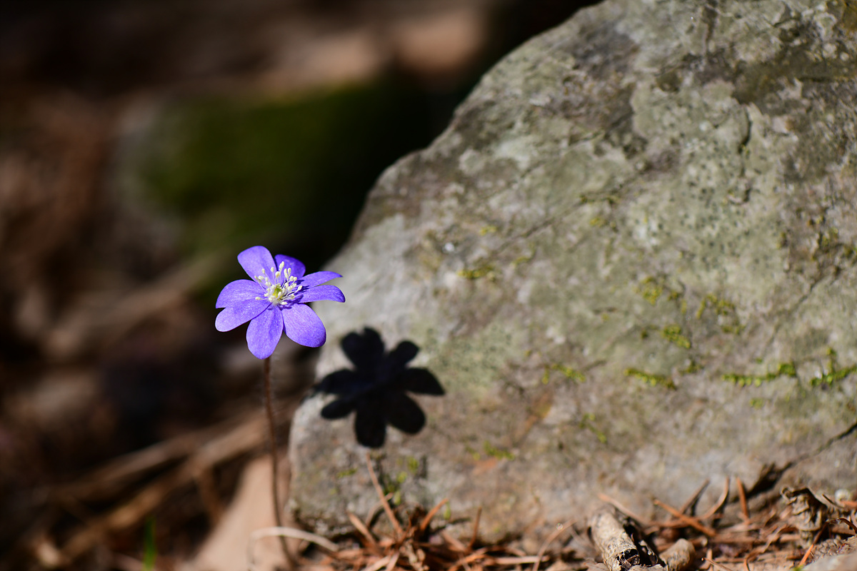 DSC_3044.jpg